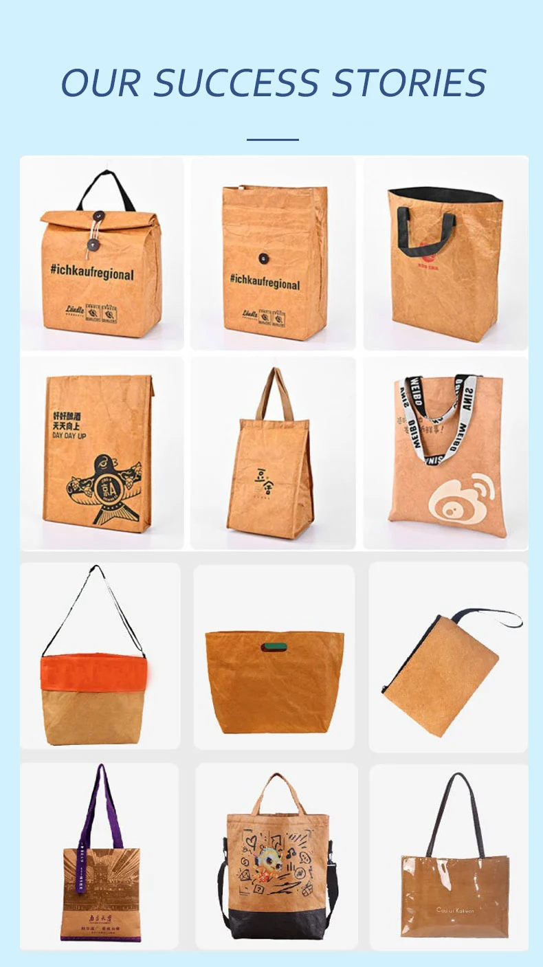 Handheld Dupont Paper Bag